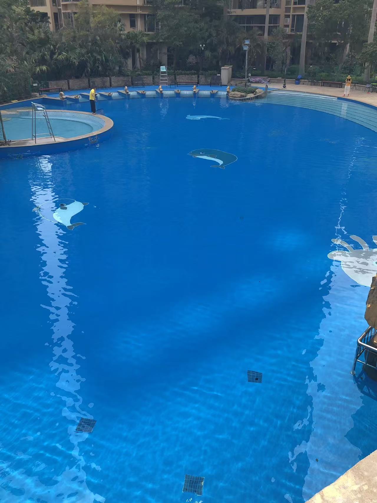 水鸟体育户外游泳池